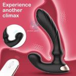 PLACE 321- Prostata-Vibrator mit Rotation Wasserdicht: IPX7