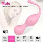 Persoonlijke Massager, Vaginale Verkleiningsmassageballen met Afstandsbediening Draadloze Tril Eieren G-spot Stimulator Lichaamsve